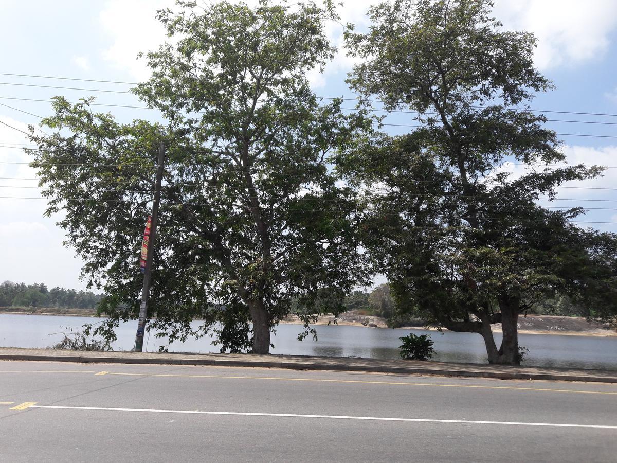 Saragama Holiday Resort Kurunegala Esterno foto